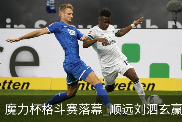 魔力杯格斗赛落幕 顺远刘泗玄赢下100公斤级